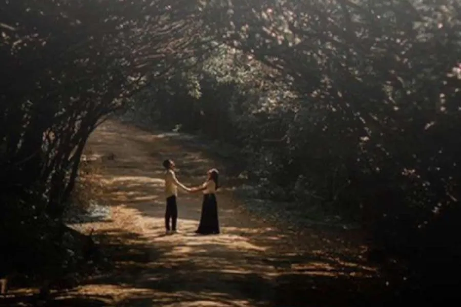 Wide cinematic shot of a couple on a forest path